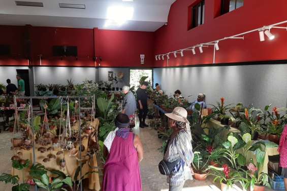 Encore deux jours pour découvrir les Floralies au centre socioculturel