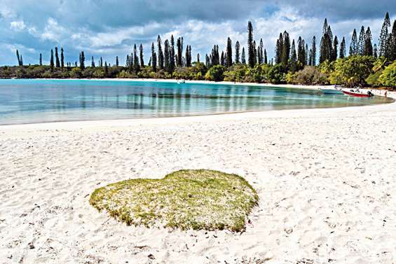 Justice : un an de prison ferme pour le cambrioleur de l'île des Pins