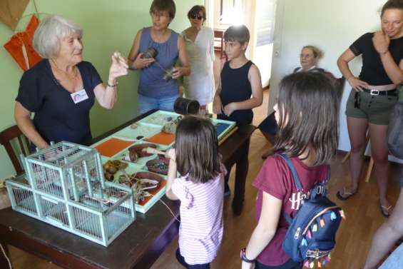 Visite guidée ludique  à la Villa-musée,  samedi 28 mai