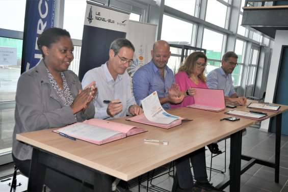 Le nickel sur le chemin 