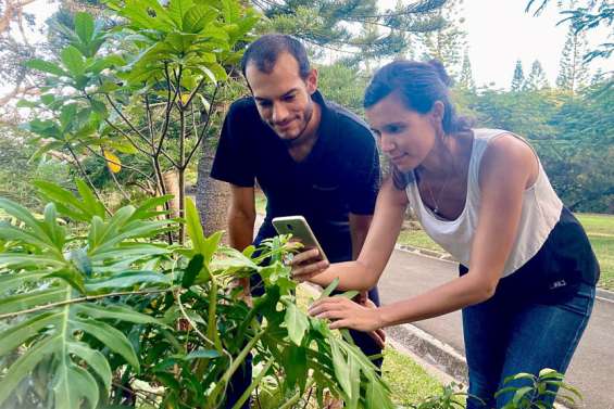 Seve, la nouvelle appli dédiée aux plantes endémiques