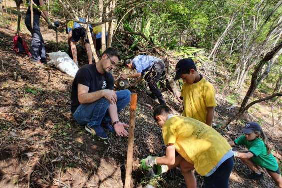 Après-midi plantation sur le Mont Vénus pour l'école James-Cook