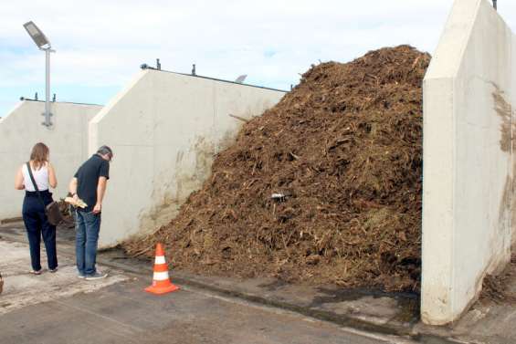 La filière du compostage se développe à Païta en créant un produit local