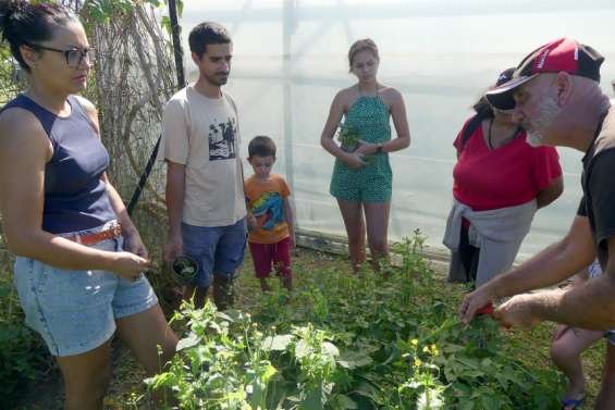 À Boulari, un marché plein d'idées pour réduire son empreinte écologique