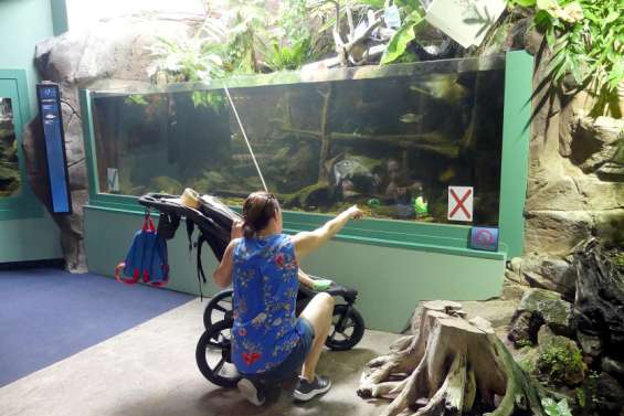 Journée mondiale des océans. L’aquarium du Lagon sensibilise à la réduction des déchets