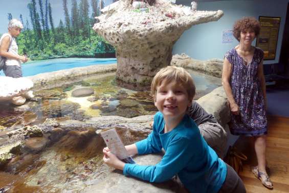 Une journée pour les océans à l'aquarium des Lagons