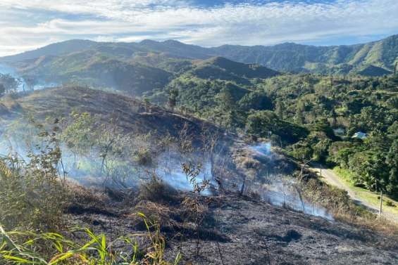 Un incendie détruit deux hectares de végétation à Bourail