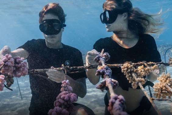 Océan : Mareva Galanter veut 