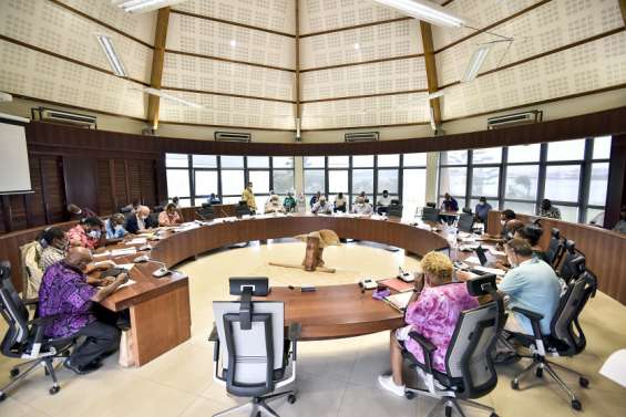 Législatives : le Sénat coutumier appelle à voter au second tour