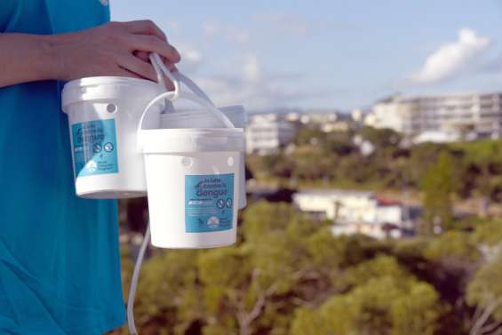 Wolbachia sous surveillance pour récolter des données sur son évolution