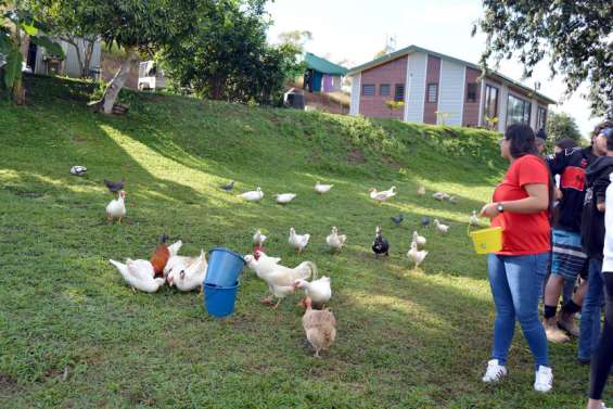 À Bourail, les Bergers de Dreamland ouvrent leur ferme