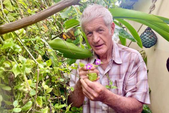 [GROS PLAN] Ces mauvaises herbes à consommer sans modération