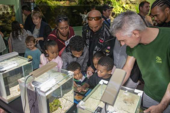 150 visiteurs pour la dernière nocturne sur les poissons