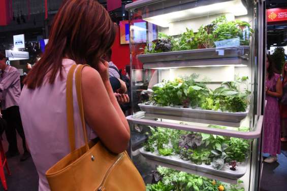 L'agriculture en intérieur, l'avenir de l'humanité ?