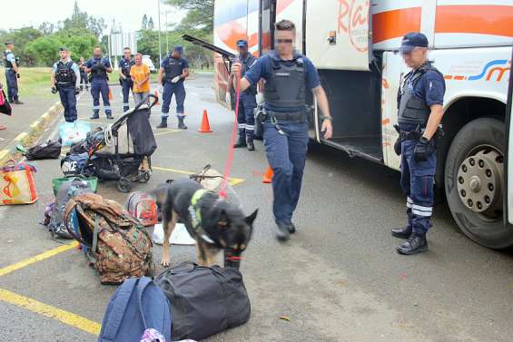 Douaniers et gendarmes en lutte anti-stups dans les cars