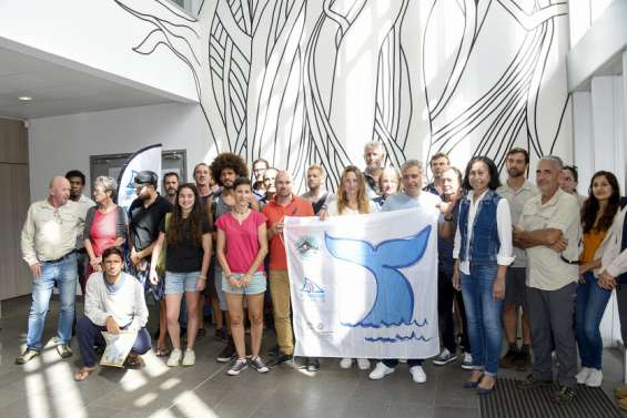 Les baleines seront-elles de retour ?