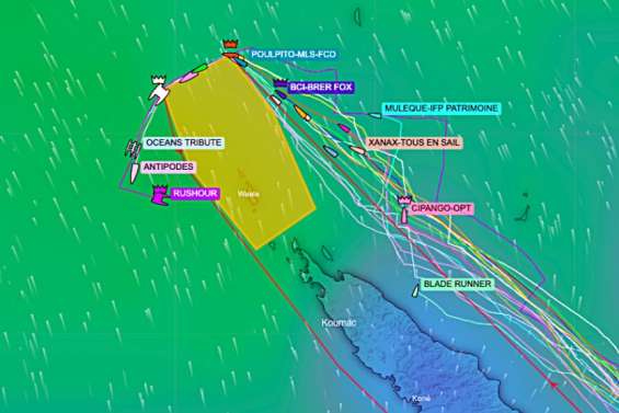 Groupama Race : les premiers entament leur redescente côte Ouest