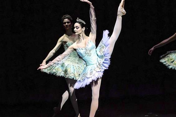 Les artistes internationaux font leur grand retour au centre culturel