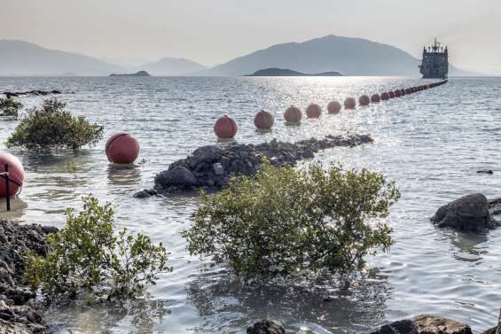 Câble sous-marin : deux décisions de justice en faveur de l’OPT