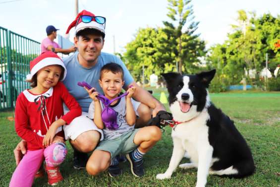 Le père Noël n'oublie pasles toutous de l'École du chiot