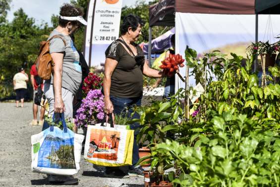 Le Salon du jardinage et de la motoculture prêt à accueillir le public