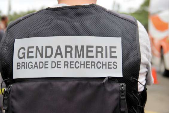 Trafic de cannabis : une 