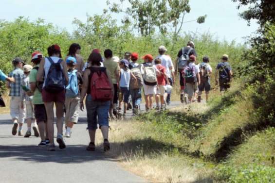 Colos cherchent monos