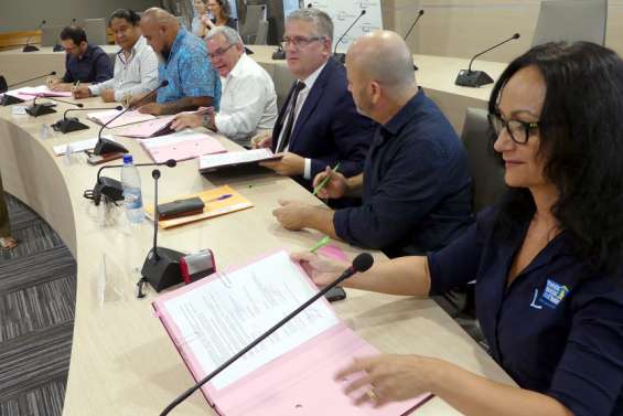 Dumbéa : un plan d'actions pour redonner vie aux quartiers dégradés du pic aux Chèvres