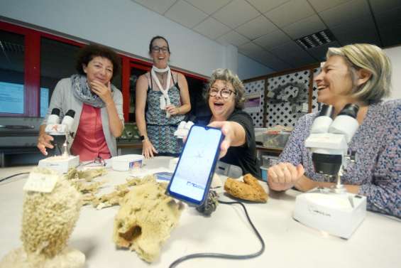 Le club des scientifiques de Nouméa, le rendez-vous des apprentis explorateurs de fonds marins