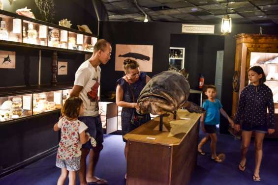 Une soirée pour mener l'enquête à l'Aquarium