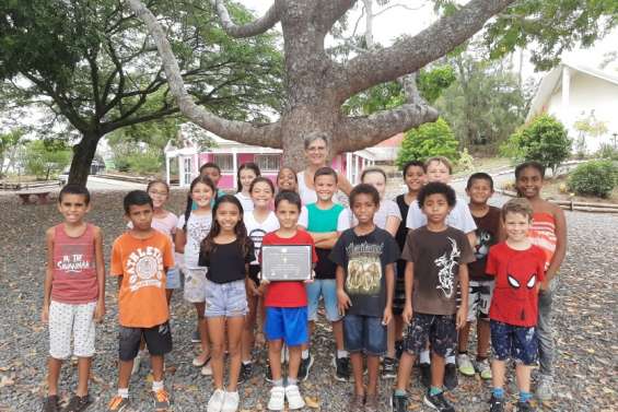 Un concours de recettes équilibrées pour « promouvoir une alimentation saine »