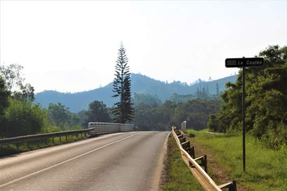 Construction d'une passerelle piétonne au pont de La Coulée