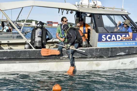 [VIDÉO] La grande rade va avoir meilleure mine