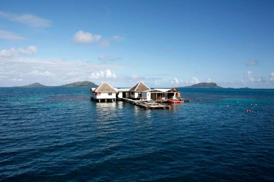 La perliculture doit 