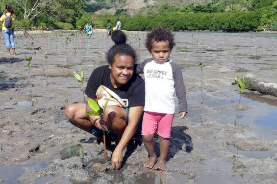 À Touho, 150 palétuviers sont venus enrichir la mangrove