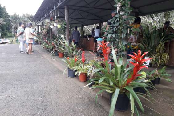 Un marché aux fleurs sous le soleil retrouvé