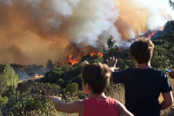 Un incendie dévaste 1 000 hectares dans l'Hérault
