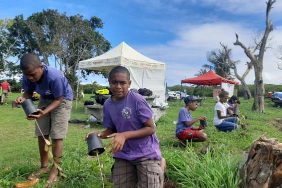 Les écoliers de la commune reboisent le bord de mer à Ouano