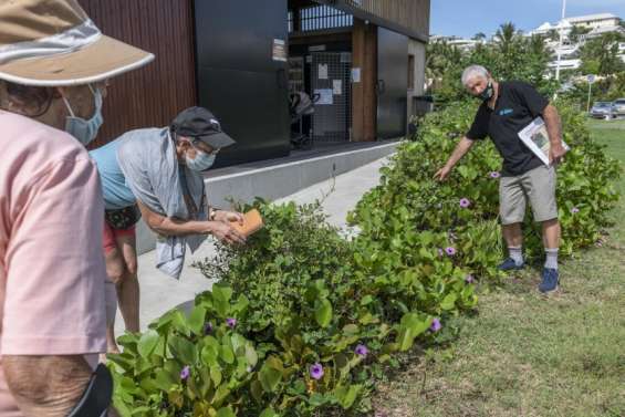 À la découverte de la faune et de la flore de Ouémo