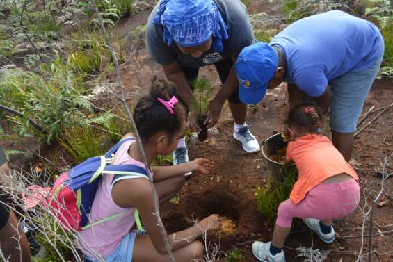 Une plantation au pont des Japonais