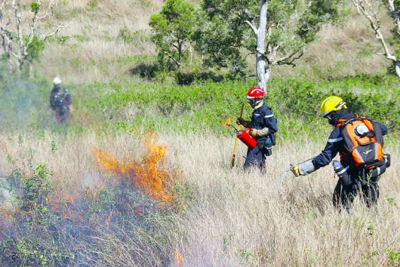 [GROS PLAN] Ils éteignent des incendies sans une goutte d'eau