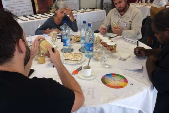 Le miel crémeux : à peine présenté et déjà récompensé