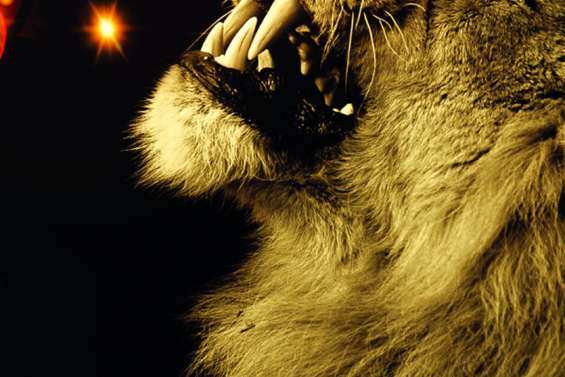 Genesys CircusWe are 2021