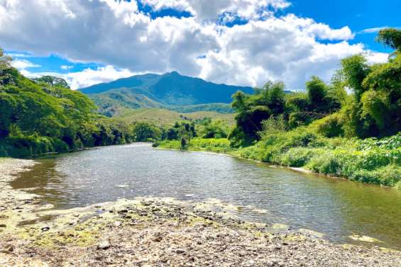 Un appel à projets pour les protecteurs de l' 