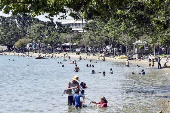 Baie-des-Citrons : le projet de construction d'une barrière anti-requins prend du retard