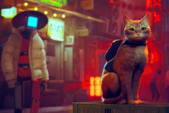 Loisirs : Stray, les chats en raffolent