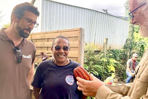 [VIDÉO] Bientôt une production de cacao calédonien ?