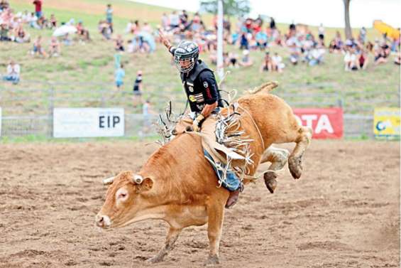 Païta : la Fête du Bœuf ne reviendra pas cette année