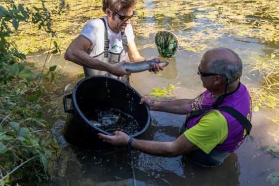 Côte d'Azur : le tourisme pèse sur les ressources en eau