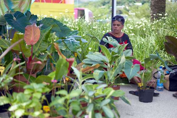 Troisième marché aux plantes des horticulteurs du Nord à Dumbéa